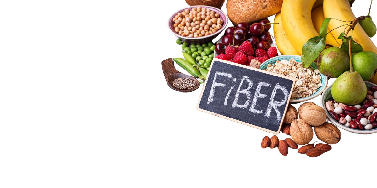 Φυτικές ίνες